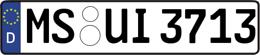 MS-UI3713