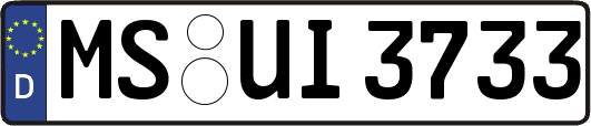 MS-UI3733