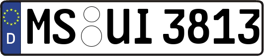 MS-UI3813