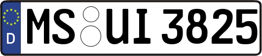 MS-UI3825