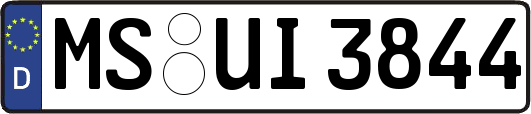 MS-UI3844