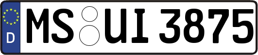MS-UI3875