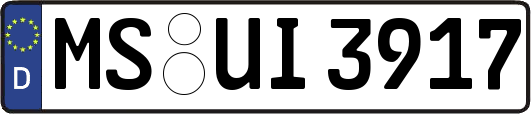 MS-UI3917