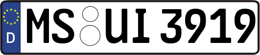 MS-UI3919