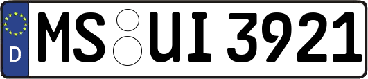 MS-UI3921