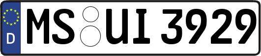 MS-UI3929