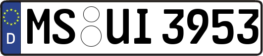 MS-UI3953