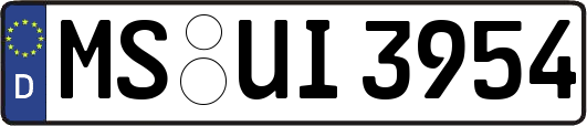 MS-UI3954