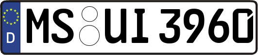 MS-UI3960