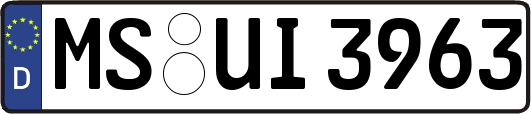 MS-UI3963