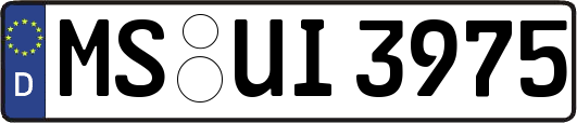 MS-UI3975