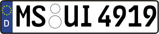 MS-UI4919