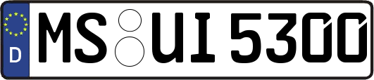 MS-UI5300