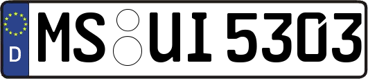 MS-UI5303