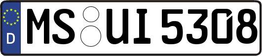 MS-UI5308