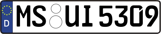 MS-UI5309