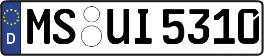 MS-UI5310