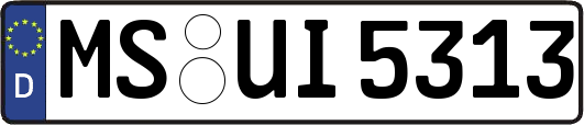 MS-UI5313