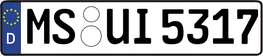 MS-UI5317