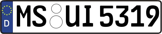 MS-UI5319
