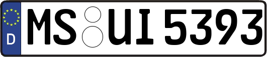 MS-UI5393
