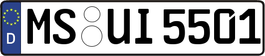 MS-UI5501