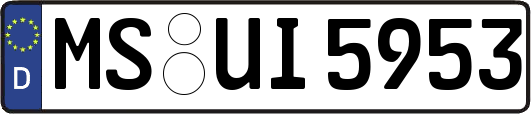 MS-UI5953