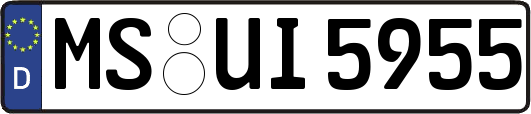 MS-UI5955