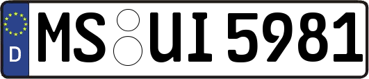 MS-UI5981
