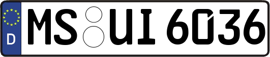 MS-UI6036