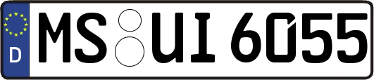 MS-UI6055
