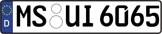 MS-UI6065