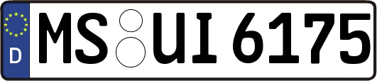 MS-UI6175