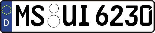 MS-UI6230