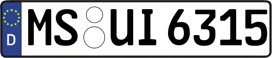 MS-UI6315