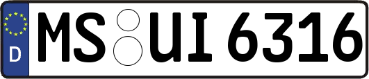 MS-UI6316