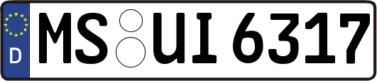 MS-UI6317