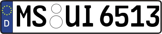 MS-UI6513