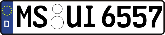 MS-UI6557