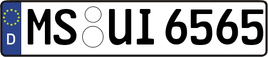 MS-UI6565