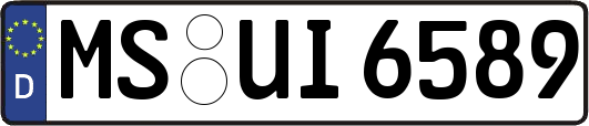 MS-UI6589
