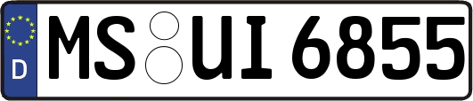 MS-UI6855