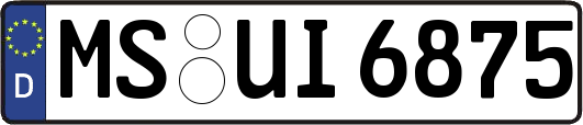 MS-UI6875