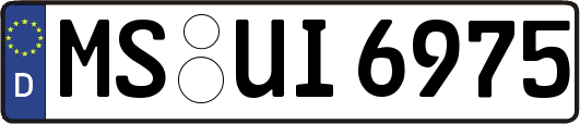 MS-UI6975