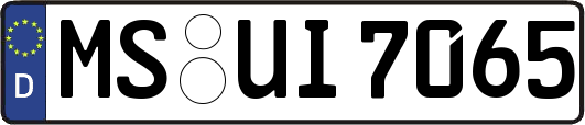MS-UI7065