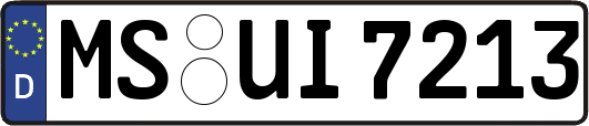 MS-UI7213