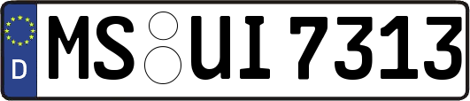 MS-UI7313