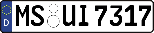 MS-UI7317