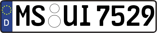 MS-UI7529