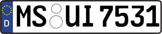 MS-UI7531